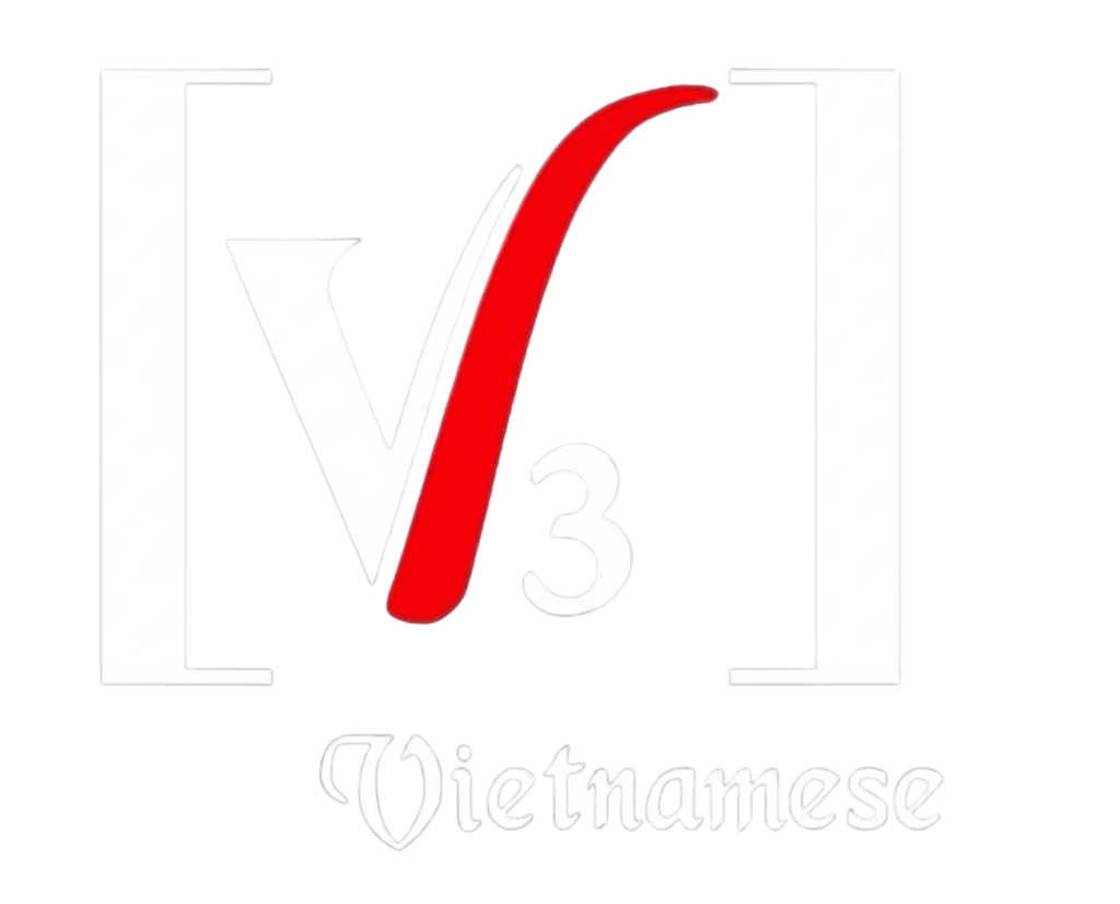 V3 AUDIO